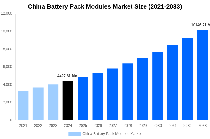 China Battery Pack Modules Market Overview