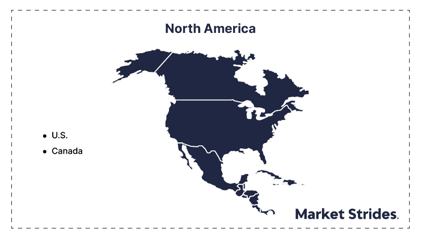 North America Amoxicillin Dispersible Tablets Dt Market Regional overview